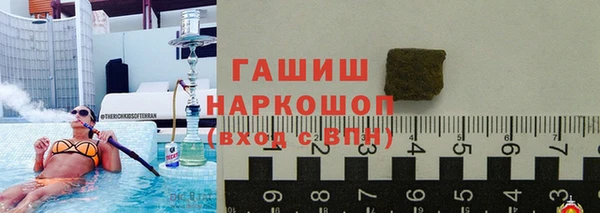 винт Ельня