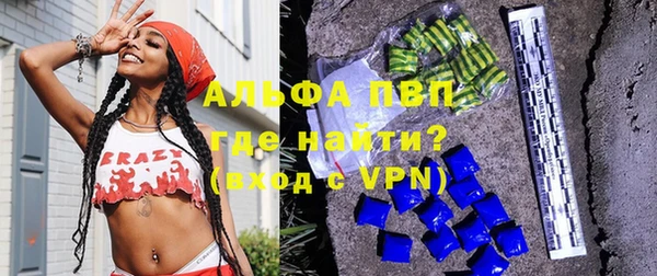 винт Ельня