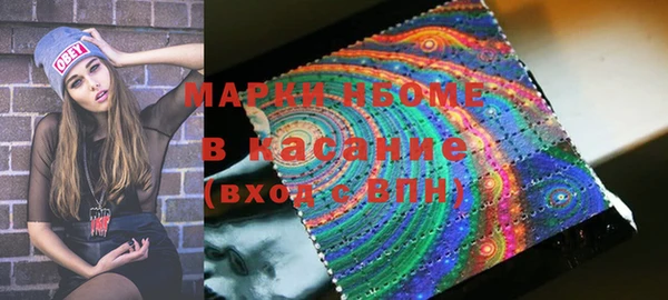 винт Ельня