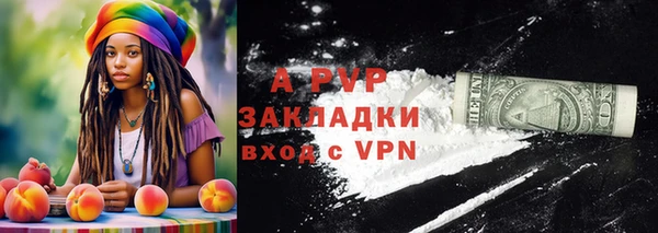 винт Ельня