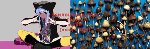 винт Ельня