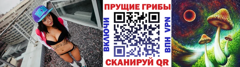 где купить наркотик  Ефремов  MEGA ссылки  Галлюциногенные грибы Magic Shrooms 