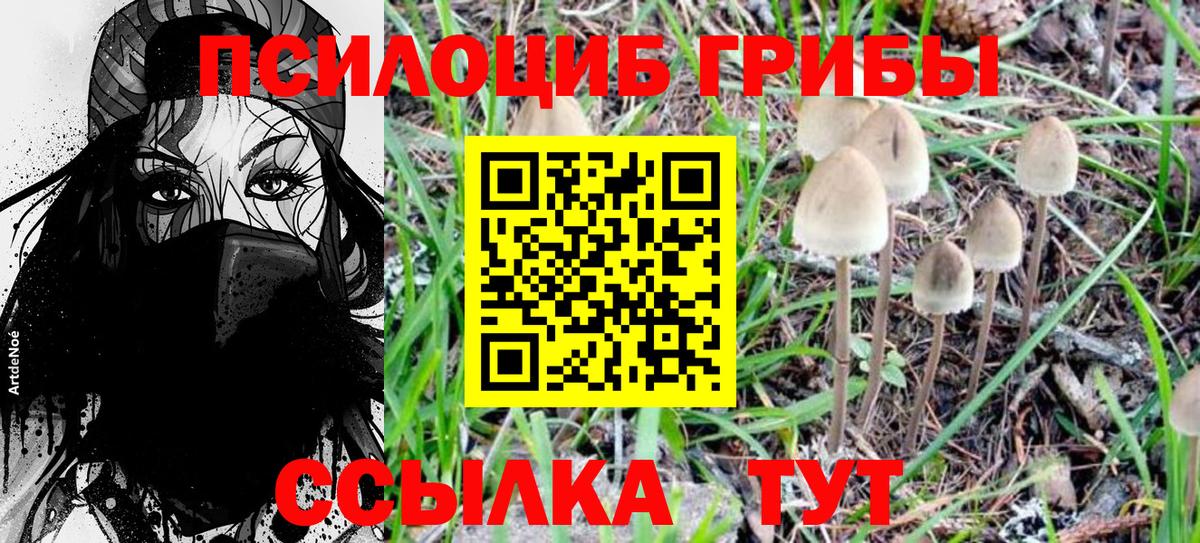 Псилоцибиновые грибы мухоморы Ефремов