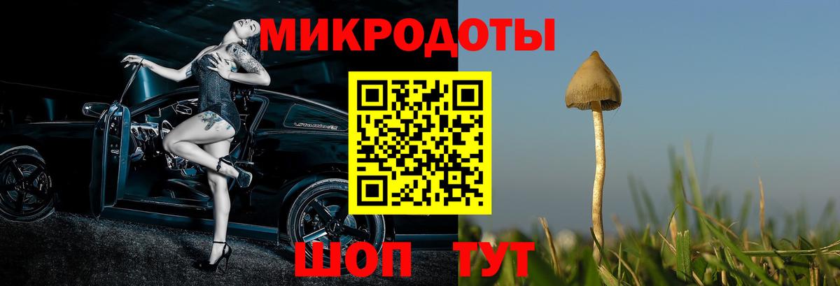 Галлюциногенные грибы GOLDEN TEACHER  Вход с VPN  Ефремов  Галлюциногенные грибы Magic Shrooms 