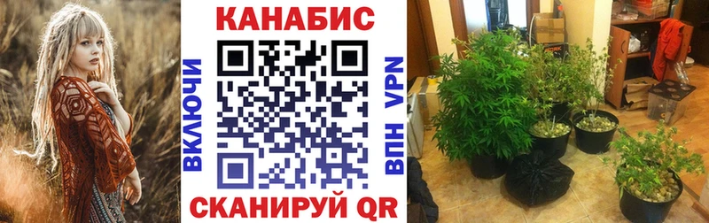Бошки Шишки White Widow  Ефремов 